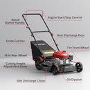 AMERISUN 53,3 cm 3-in-1 Rasenmäher – 144cc Benzin, Schubmäher mit Fangkorb