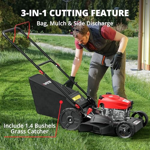 AMERISUN 53,3 cm 3-in-1 Rasenmäher – 144cc Benzin, Schubmäher mit Fangkorb