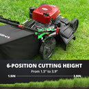 AMERISUN 53,3 cm 3-in-1 Rasenmäher – 144cc Benzin, Schubmäher mit Fangkorb